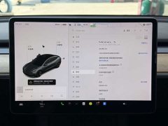 Tesla Model 3 Facelift Standard Range RWD Upgrade 3D1 - ფოტო 9