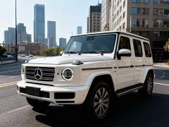 Mercedes-Benz G-Class G 500 - ფოტო 1