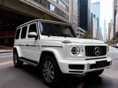 Mercedes-Benz G-Class G 500 - ფოტო 3