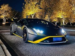 Lamborghini Huracán 2021 Huracán STO - ფოტო 8