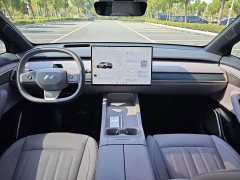 Nio Lerado L60 60kWh AWD - ფოტო 12