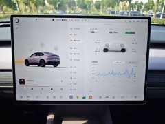 Nio Lerado L60 60kWh AWD - ფოტო 14