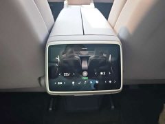 Nio Lerado L60 60kWh AWD - ფოტო 15