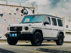 Mercedes-Benz G-Class G 500 - ფოტო 1