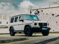 Mercedes-Benz G-Class G 500 - ფოტო 2
