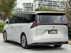 Buick Zhijing Shijia Luxury Edition - ფოტო 10