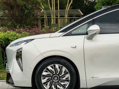 Buick Zhijing Shijia Luxury Edition - ფოტო 4