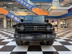 Tank 300 City Edition 2.0T Stylish - ფოტო 2