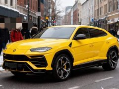 Lamborghini Urus 2021 4.0T V8 - ფოტო 1