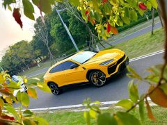 Lamborghini Urus 2021 4.0T V8 - ფოტო 3
