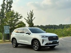 Haval H6 2024 1.5T Two-Wheel Drive Classic Edition - ფოტო 3