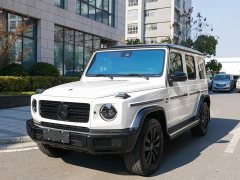 Mercedes-Benz G-Class G 500 - ფოტო 1