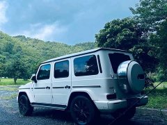 Mercedes-Benz G-Class 2022 G 500 - ფოტო 4