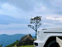 Mercedes-Benz G-Class 2022 G 500 - ფოტო 5