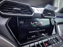 Lamborghini Urus 2022 4.0T V8 Performante - ფოტო 13