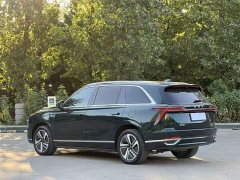 Great Wall WEY Blue Mountain 2025 Four-Wheel Drive Max - ფოტო 10