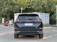 Great Wall WEY Blue Mountain 2025 Four-Wheel Drive Max - ფოტო 9