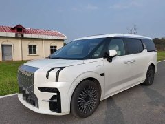 Zeekr Geely Geometry 009 Seven-Seat Ultra Home Edition - ფოტო 1