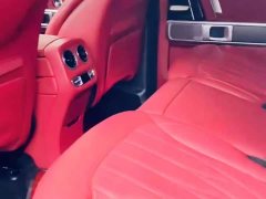 Mercedes-Benz G-Class 2020 G 350 - ფოტო 8