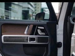 Mercedes-Benz G-Class 2020 G 500 - ფოტო 11