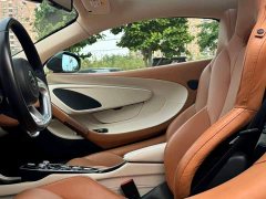 McLaren GT 2019 4.0T Standard - ფოტო 9
