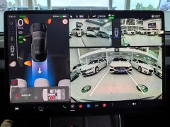 Tesla Model Y Rear-Wheel Drive - ფოტო 6