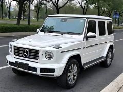 Mercedes-Benz G-Class 2020 G 350 - ფოტო 1