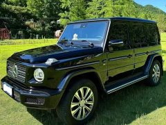 Mercedes-Benz G-Class 2023 G 350 - ფოტო 1