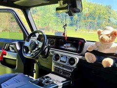 Mercedes-Benz G-Class 2023 G 350 - ფოტო 4