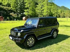 Mercedes-Benz G-Class 2023 G 350 - ფოტო 6