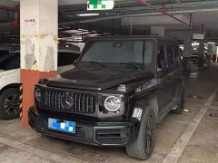 Mercedes-Benz G-Class G 350 - ფოტო 1