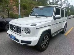 Mercedes-Benz G-Class G 350 - ფოტო 1