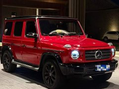 Mercedes-Benz G-Class G 350 - ფოტო 3