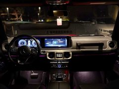 Mercedes-Benz G-Class G 350 - ფოტო 8