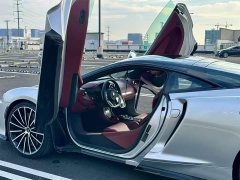 McLaren GT 4.0T Standard - ფოტო 2