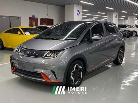 2022 BYD Dolphin 405km Fashion Edition - ავტომობილი ჩინეთიდან