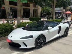 McLaren GT 2019 4.0T Standard - ფოტო 1