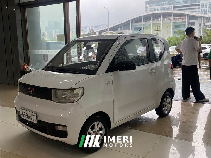 Wuling Hongguang MINIEV Deluxe Edition LFP Battery