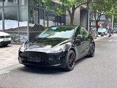 Tesla Model Y Rear-Wheel Drive - ფოტო 1
