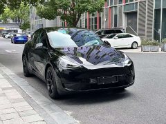 Tesla Model Y Rear-Wheel Drive - ფოტო 3