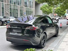 Tesla Model Y Rear-Wheel Drive - ფოტო 7