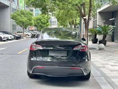 Tesla Model Y Rear-Wheel Drive - ფოტო 8