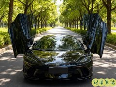 McLaren GT 2019 4.0T Standard - ფოტო 2