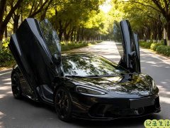 McLaren GT 2019 4.0T Standard - ფოტო 3