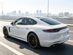 Porsche Panamera 2.9T - ფოტო 15