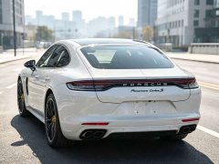 Porsche Panamera 2.9T - ფოტო 16