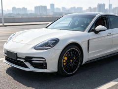 Porsche Panamera 2.9T - ფოტო 3
