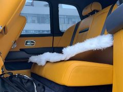 Rolls-Royce Cullinan 2018 Five-Seater - ფოტო 10