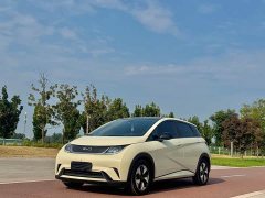 BYD Dolphin Glory Edition 420km Fashion Version - ფოტო 1