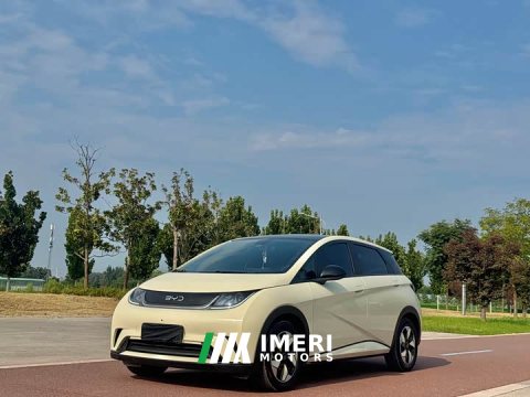 2024 BYD Dolphin Glory Edition 420km Fashion Version - ავტომობილი ჩინეთიდან